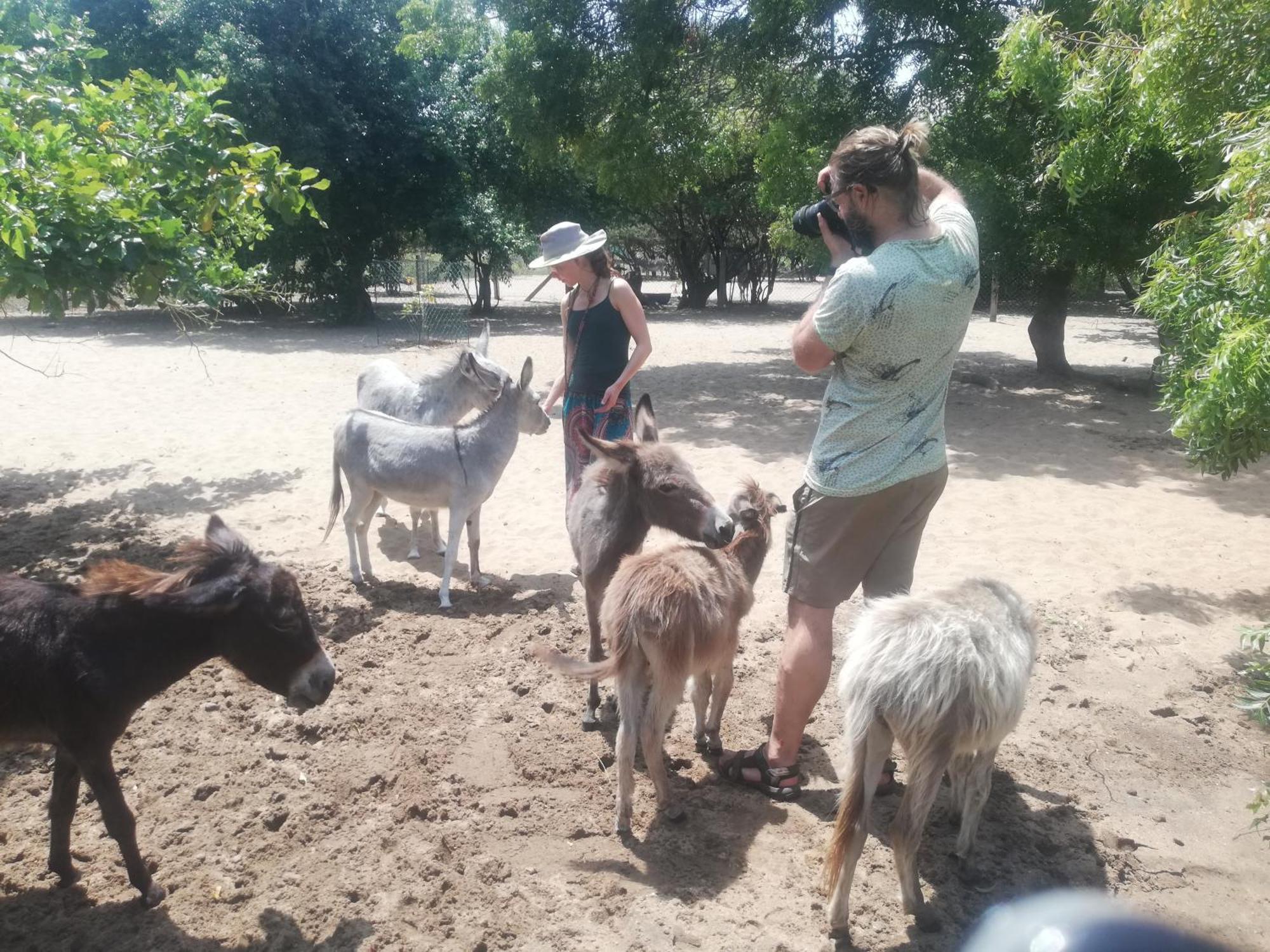 Apartament Donkey Clinic And Education Center Mannar Zewnętrze zdjęcie